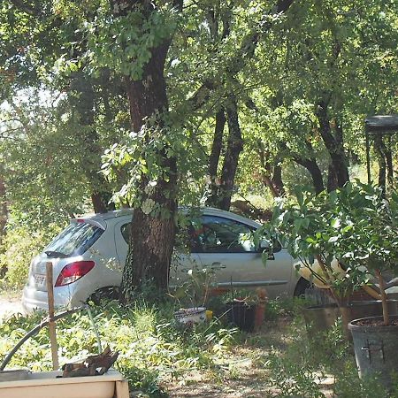 La Cheneraie Bed & Breakfast Vezenobres Eksteriør bilde